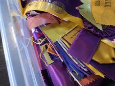 OVER 1,000 Vtg AKC Dog Show Ribbons. Various States 1928-40s Thru 1980s Terrier? picture