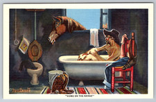 c1940s Home On The Range Tucson Phoenix Arizona Art Print Postcard picture