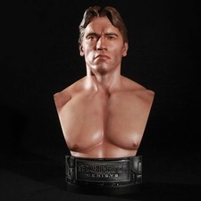 1984 TERMINATOR GENISYS T800 1/2 scale Bust by Chronicle Collectibles 172/300 picture