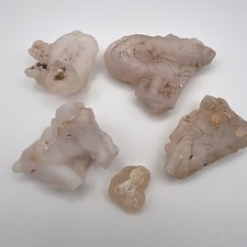 Natural Chalcedony Agate Lot 5pc 49g Pink Botryoidal Mineral Specimens picture
