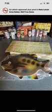 Vintage 60s Fish Platter tray Hoover MCM Mid Century Modern NIB Art decor picture