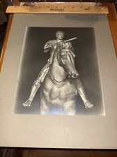 Antique Donatello Sculpture Mounted Photo: Equestrian Portrait of Gattamelata picture