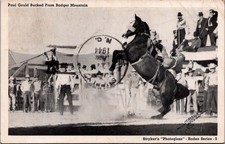 1941 Paul Gould Bucked Badger Mountain Rodeo RPPC Postcard Anton NC picture