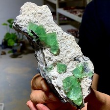 479G Natural Rare transparent green cubic fluorite crystal sample/China picture