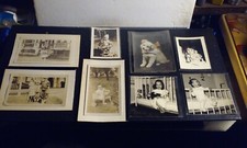Lot 8 Vintage Antique Original Snapshot Photos Children Babies Doggie in Sleeves picture