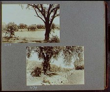 Photo:1919-1920 River or Lake Dirt Road Rock Wall Tree Reference Prints picture