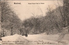 Montreal - Mount Royal Park in Winter, Horse Sleigh - Antique Postcard - c1905 picture