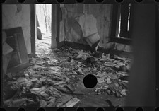 Farm near Danby,New York,Tompkins County,NY,Farm Security Administration,FSA,13 picture