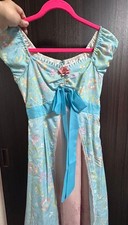 Disney Giselle Enchanted Costume Dress for Adults M (38.5) Secret Honey Japan picture