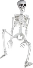 Realistic Skeleton with Posable Joints, 3ft/36inch Skeleton for Halloween picture