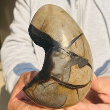 2.44lb Large Black Dragon Septarian Septarium Quartz Crystal Geodes Specimen picture