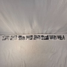 Vintage 1956 Amusement Park Sleigh Ride Petting Zoo Strip 8 B&W Snapshot Photos picture