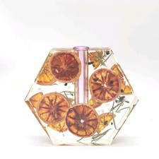 VTG Real Lemon Slices & Rosemary in Clear Lucite? Resin MCM Vase 5.5x6.5