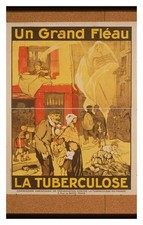 France Tuberculosis Poster Standard Postcard picture