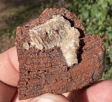 ☘️RR⛏️: Unique Arizona Petrified Wood W/Red Druzy/Barite 🌈 picture