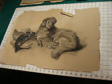 original 1891 Signed drawing of DOG and the Bird it got, on paper, torn, SO GOOD picture