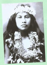 Found 4X6 PHOTO of Pretty Vintage Native Hawaiian Island Girl picture