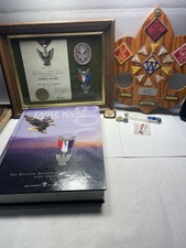Vintage 1969 Eagle Scout BSA Collection Medal Certificate Patches Pins Mrk Storm picture