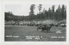 Bulldogging a Steer, Custer Rodeo, Custer, South Dakota 1946 RPPC picture