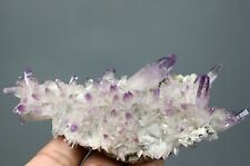 Top ！Natural Transparent Amethyst Quartz Crystal Cluster Mineral Specimen,Mexico picture