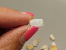 Spencer Opal Unpolished Stone CHIPS Iridescent Small Rock picture