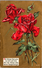 Postcard Don't Worry About the Future Card Pretty Roses 1910 picture