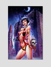 Vampirella #17 Castle Variant Premium Print Vampire Poster 11x17 Horror Wall Art picture
