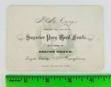 Vintage 1880's Superior Pure Bred Fowls Chickens Selinsgrove PA Business Card picture