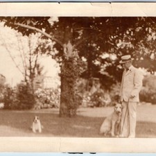 c1910s Dapper Gentleman Straw Boater Hat Cane Dogs Great Dane Snapshot Photo 6