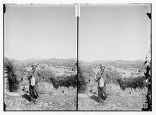 Photo:Unidentified Location 1900s Man Standing Before Building Stereograph picture