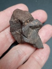 Meteorite Chondrite unclassified NWA - 38,90g / 4,4 cm - French old collection picture