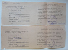 Duplicate certificate  participant  liquidation Chernobyl USSR picture