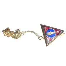 Vintage 1966 Tri-Hi-Y Enamel Pin with 1966 Year Guard Chain YMCA Club Badge picture