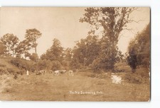 Turbotville Pennsylvania PA RPPC Real Photo 1907 The Old Swimming Hole picture