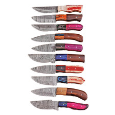Lot of 10 Knives Damascus Steel Fix blade knife Whole Sale Price Clearance Sale picture