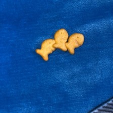 Three Baby Goldfish A Trio, Misprints Stuck Together picture