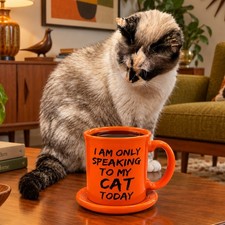 Homer Laughlin Fiesta I'm Only Speaking to My Cat Today 12 Oz Java Mug & Coaster picture