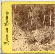 PENNSYLVANIA, View On The Line Of The Pennsylvania Railroad--Stereoview A128 picture