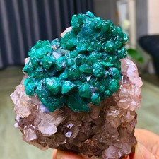 363G Natural green dioptase emerandine gemstone cluster crystal specimen picture