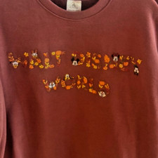 2026 Walt Disney World Fall Mickey & Friends Sweatshirt S Embroidered Pullover picture