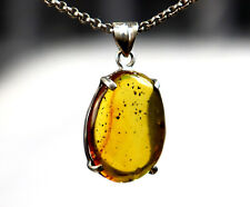 Beautiful Natural Amber .925 Sterling Silver Pendant 39mm Insect Bug Fossil picture