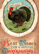 C1908 Large Turkey Joyful Wishes Thanksgiving Proclamation Postcard Embossed picture