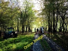 Photo 6x4 Underland Wood Wadhurst Park Estate Combe/TQ6228 c2013 picture
