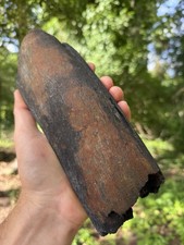 Very Rare Hollow EXTINCT “MYSTICETI” Rib Wh@le Bone Fossil picture