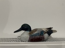 Vintage Hand Carved Wooden Duck Decoy Northern Shoveler Mallard Glass Eyes  picture