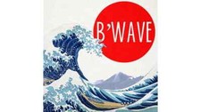 B'Wave DELUXE by Max Maven (Gimmicks and Online Instructions) - Trick picture