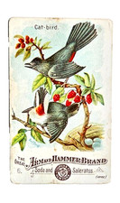 1890 J1 #6 Cat-Bird, Arm and Hammer Beautiful Birds, 2nd Back no coupon picture