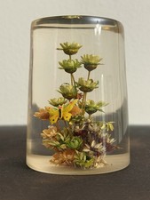 Vintage Lucite Dried Flowers Acrylic Paperweight MCM Butterfly 2 3/4