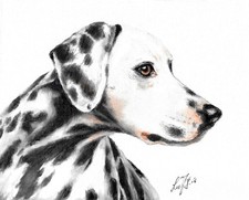 ❦ ORIGINAL Oil Dog Portrait Painting DALMATIAN Artist Signed Canvas Realism Art picture