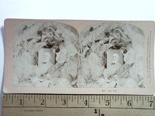 Gen. Lee Stereoview B. W. Kilburn #4604 1888 Robert E. Lee Civil War picture